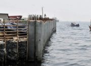 Nelayan Masih Awam, Aktivis Lingkungan Gresik Soroti Wacana Proyek Giant Sea Wall