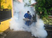Cegah Wabah DBD, Marinir Bantu Fogging Pemukiman Warga Ciganjur