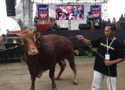 Kontes dan Expo Sapi Piala MPR RI di Boyolali