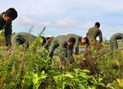 Lanudal Biak Komitmen Punya Hanggar Sendiri, Sudah Dua Tahun Menunggu