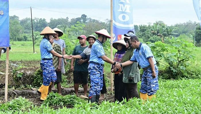 Kompi Pangan Lanud Adi Soemarmo Berhasil Panen 250 Kilogram Kangkung