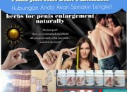 Pengobatan Alat Vital Terdekat Jakarta H.Abdulazis Langsung Terbukti