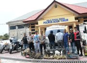 Selundupkan Moge dan Hewan, Angota TNI AL di Aceh Ditangkap