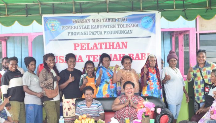 Yayasan Misi Tabur Tuai Dorong Kemandirian Ekonomi Papua Lewat Pelatihan Ternak Babi di Lima Distrik Kabupaten Tolikara