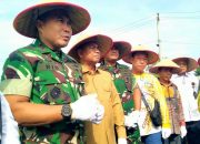 Pangdam I/BB dan Bupati Sergai Laksanakan Panen Perdana.Uji coba padi super sinar mentari capai 10 ton/Ha