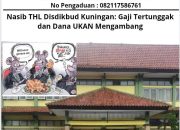 Nasib THL Disdikbud Kuningan: Gaji Tertunggak dan Dana UKAN Mengambang