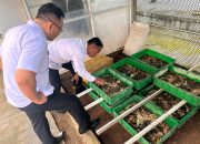 Lapas Kelas IIA Salemba Mengelola Sampah Organik untuk Budidaya Maggot, Mendukung Program Ketahanan Pangan Pemerintah