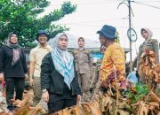 Lisa Halaby Luncurkan Gerakan Masyarakat “Rambai Emas”