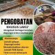 Ahli Pembesar ALAT VITAL Di Semarang H. Abdulazis Atasi Lemah Syahwat