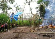 Digrebek TNI-Polri Arena Sabung Ayam di Malang Langsung Dibakar