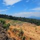 Puluhan Hektar hutan Lindung diduga di Jual Prangkat Desa Alu Gandai