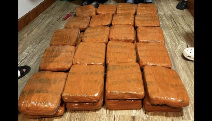Polda Lampung Gagalkan Penyelundupan 40 Kg Ganja, Kurir Asal Padang Ditangkap