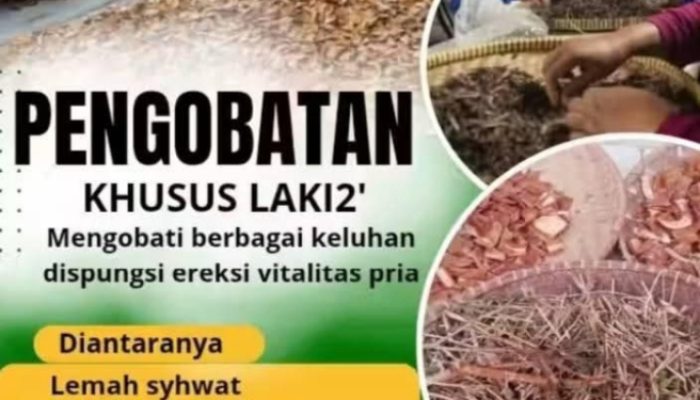 Ahli Pembesar ALAT VITAL Di Tuban Lamongan H.Abdulazis Atasi Lemah Syahwat