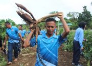 Sayuran di Lanud IG. Dewanto, Langkah Nyata Dukung Program Pemerintah