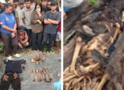 Gempar, kerangka manusia ditemukan dibatang pohon aren