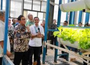 Dukung Urban Farming, Gubernur Pramono Tinjau Pertanian Vertikal Cilandak ‘Ladang Farm’