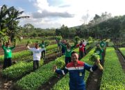 Pertagas Dorong Ketahanan Pangan Lewat Pertanian Berkelanjutan: Dari Lahan Kritis hingga Sawah Produktif