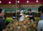 Durian Ilegal dari Malaysia Banjiri Pasar RI, Diduga Capai 10 Ton