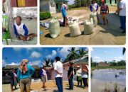 Padi Milik Warga Kebun Kelapa hampir 19 ton Ditolak Bulog Karena Terendam Banjir.