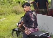 Bibit petani di hancurkan oleh rotari, petani di hadang anak anak muda bayaran