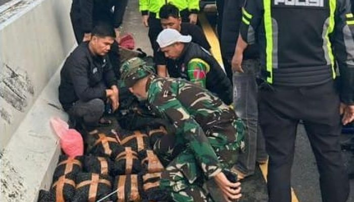 TNI Temukan 75.000 Pil Ekstasi di Mobil Kecelakaan, Ada Lencana Polri di Kursi Sopir, Pengemudi Kabur