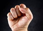 DPR Tolak Relokasi Rakyat di Tesso Nilo, Nilai Langgar HAM