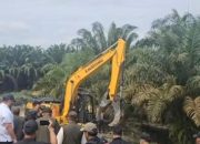 Warga Tesso Nilo di Riau Tolak Relokasi, Pilih Rawat Hutan Sendiri Demi Hak dan Lahan Mereka
