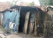 Miris minum air hujan dan makan se adanya