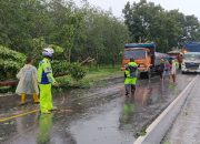 Satlantas Polres Sergai Gerak Cepat Evakuasi dan Atasi Kemacetan, Pohon Tumbang Dan angkot Terbalik