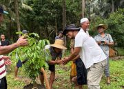 Tanam Pohon Lengkeng agar Kakatua Jambul Kuning Abboti Eksis 