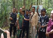 Menembus Hutan dan Perbukitan, PN Saumlaki Tuntaskan Eksekusi Tanah Hak Ulayat