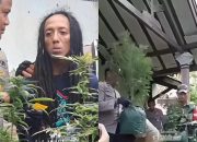 Tersangka Tanam Ganja di Jombang Akui Beli Bibit Ganja di U K