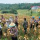 Panen Raya Jagung di Mancak, Propam Polda Banten dan Polres Cilegon Dorong Ketahanan Pangan dan Pemberdayaan Warga