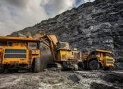 Daftar 28 Perusahaan yang Izinnya Dicabut Prabowo: Ada UNTR, ASII, dan Toba Pulp Lestari