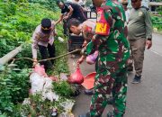 Sinergi Muspika Petir Gelar Aksi “Gerakan Indonesia Asri”, Bersihkan Sampah di Jalur Utama