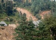 Kolaborasi TNI dan Satgas PKH Amankan 101.105 Hektare Hutan Lindung