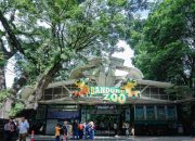 Bandung Zoo Ditutup Sementara, Pemkot Fokus Benahi Pengelolaan Aset