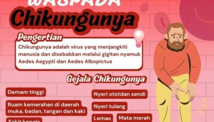 Wabah Chikungunya Gemparkan Kemantren Cisimeut, Warga Keluhkan Minimnya Penanganan