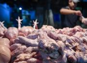 Pemprov DKI Pastikan Stok Pangan Jakarta Aman Meski Ada Konflik AS-Israel dan Iran