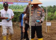 Polres Bengkulu Utara Ikuti Zoom Meeting dan Tanam Raya Jagung Serentak Kuartal I Dukung Ketahanan Pangan Nasional