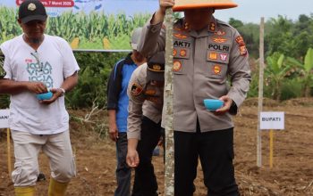 Polres Bengkulu Utara Ikuti Zoom Meeting dan Tanam Raya Jagung Serentak Kuartal I Dukung Ketahanan Pangan Nasional