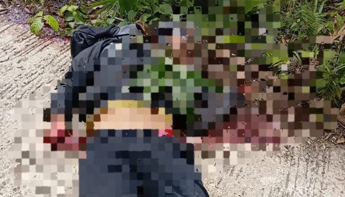 Dua Orang Dilaporkan Tewas Dibantai Kelompok Kriminal Bersenjata di Tambrauw