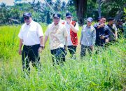 ‎Tingkatkan Produktivitas Pertanian, Bupati Sergai Tegaskan Pentingnya Optimalisasi Irigasi