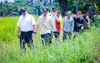 ‎Tingkatkan Produktivitas Pertanian, Bupati Sergai Tegaskan Pentingnya Optimalisasi Irigasi