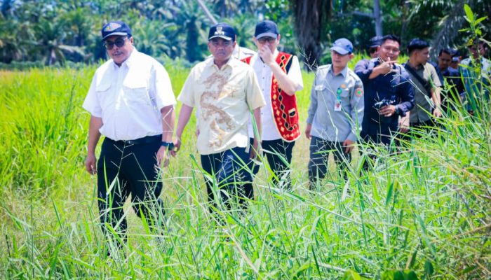 ‎Tingkatkan Produktivitas Pertanian, Bupati Sergai Tegaskan Pentingnya Optimalisasi Irigasi