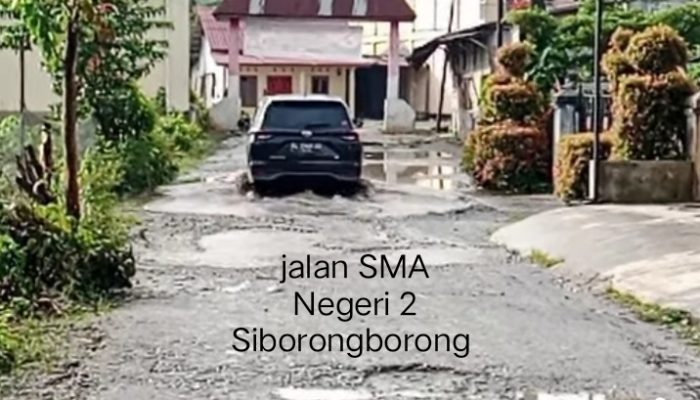 ‎Anggaran Pemeliharaan Dipertanyakan, Ketum PPPN Desak Kadis PUTR Tapanuli Utara Dicopot