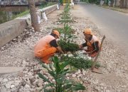 Usai penertiban PKL, bantaran kali cengkareng dihijaukan