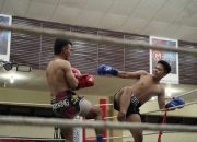‎Balige Fight Night Season 2: Wadah Pembinaan Atlet Bela Diri Sumut Menuju Pentas NasionalBALIGE
