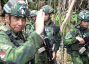 Bongkar 2 Ladang Ganja Siap Panen, Diduga Milik KKB di Papua