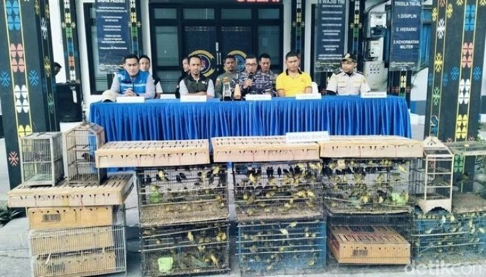 Dugaan BBKSDA NTT Tak Proses Hukum Penyelundup 1.000 Lebih Burung ke Surabaya